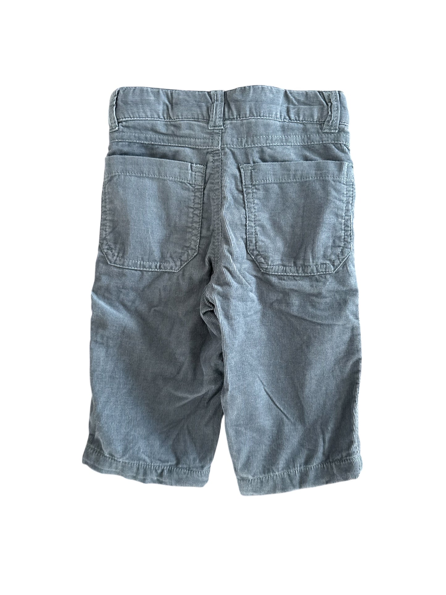 Pumpkin Patch Corduroy Pants, 3-6 Months